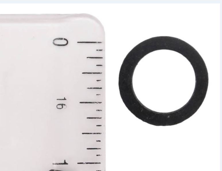 PENTAIR: FLAT PLUG ORING